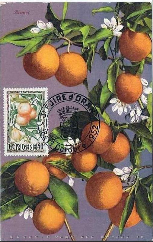 TIMBRES DE LA FOIRE D ORAN 1952   (10).jpg